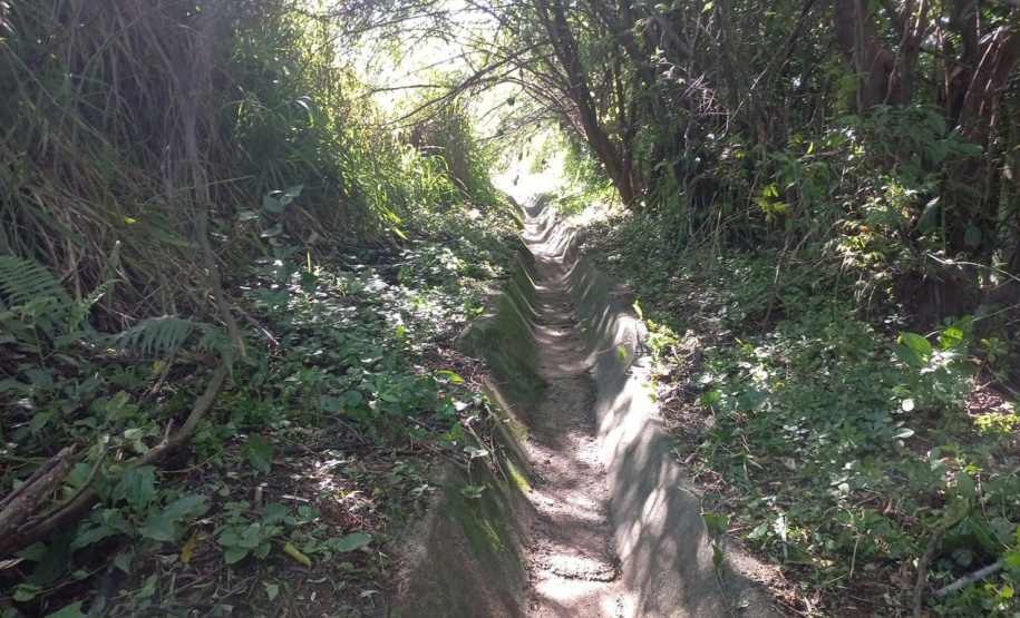 Rodovia estadual de Mandaguari recebe serviços de conservação, pintura e roçada