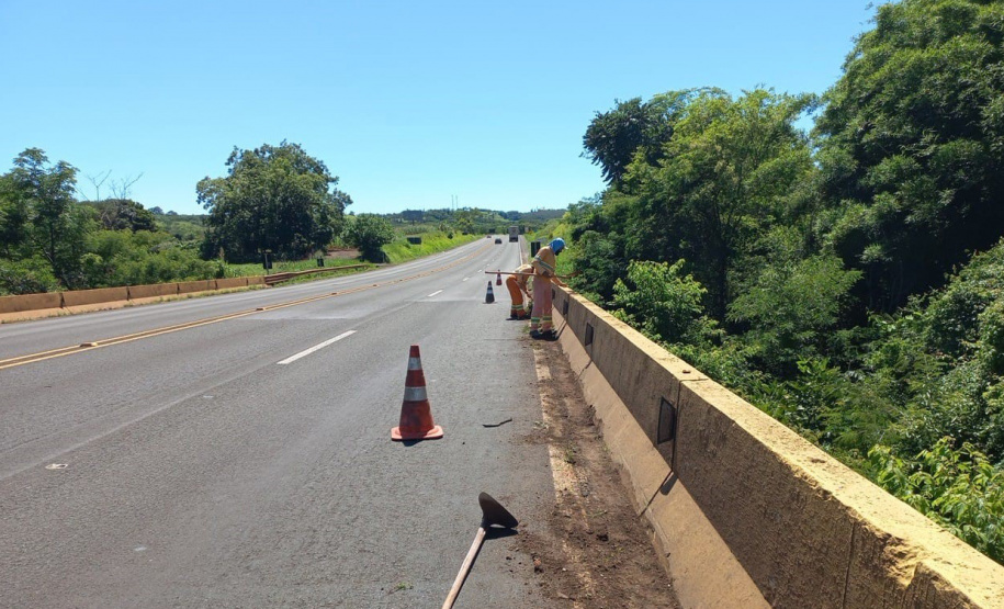 Rodovia estadual de Mandaguari recebe serviços de conservação, pintura e roçada