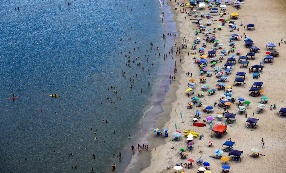Saúde alerta para cuidados em casos de acidentes com águas-vivas e caravelas