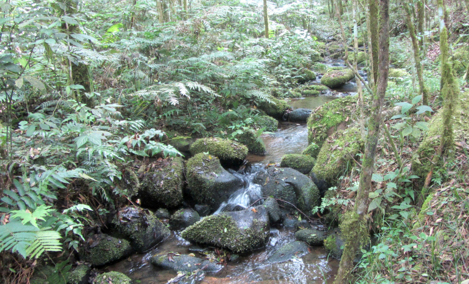 Estado lança cartilha de apoio aos municípios para ampliar conservação ambiental