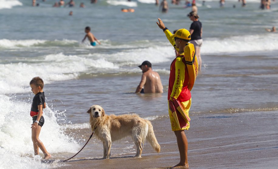 Em último balanço de janeiro, Bombeiros divulgam marca de mais de 1 mil salvamentos no litoral