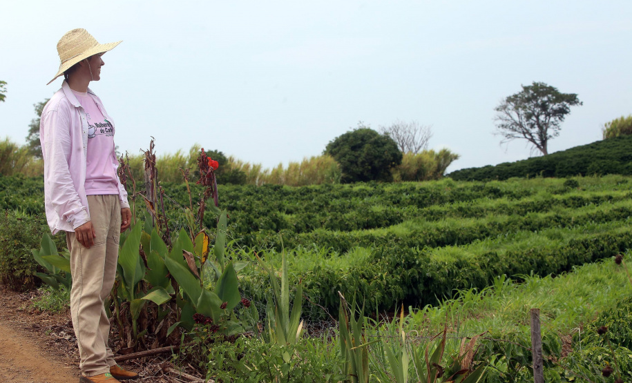 Silvana Santos Marcomini Fávaro, produtora de café