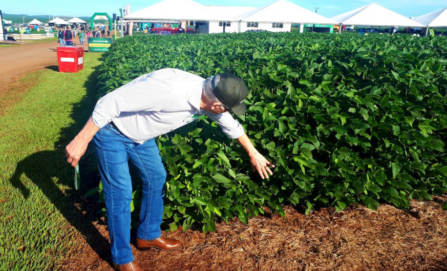 Estado participa de evento da Cocamar