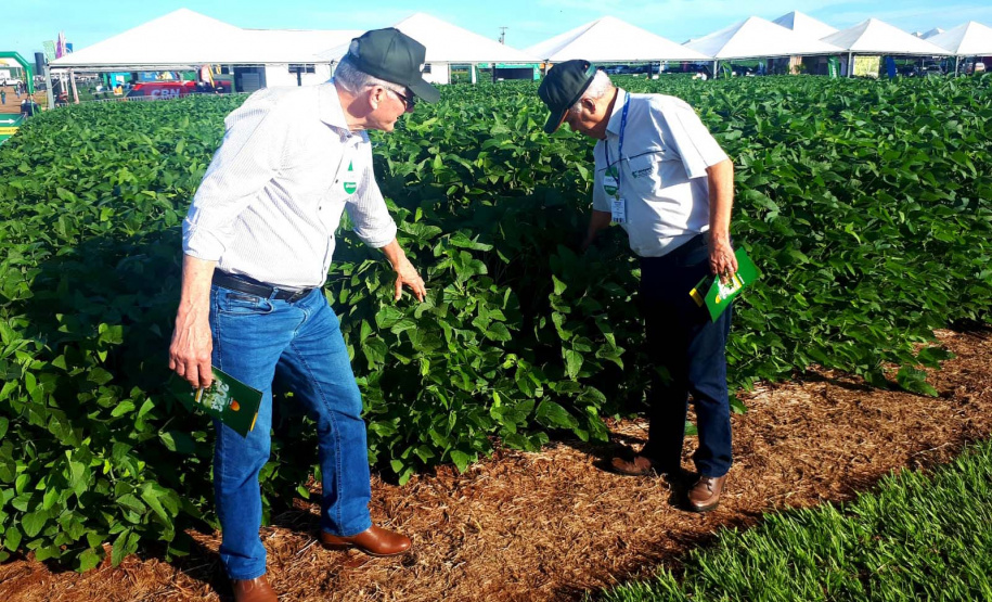 Estado participa de evento da Cocamar