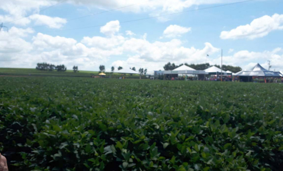 Estado participa de evento da Cocamar