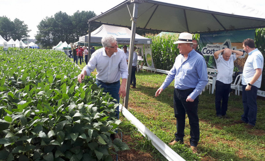 Produshow 2023 reúne tecnologia e novas cultivares em Pitanga