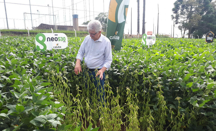 Produshow 2023 reúne tecnologia e novas cultivares em Pitanga