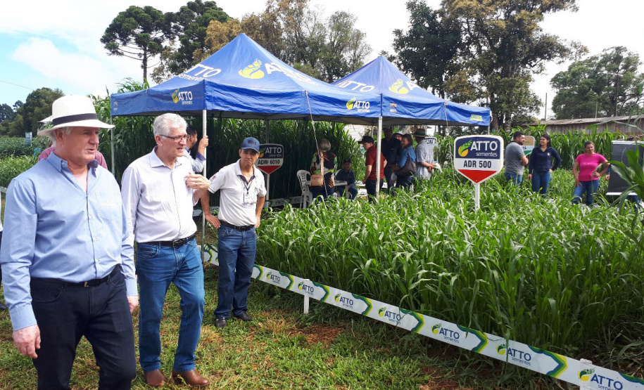 Produshow 2023 reúne tecnologia e novas cultivares em Pitanga