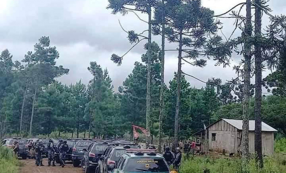 Megaoperação contra desmatamento resulta na prisão de dois homens em General Carneiro