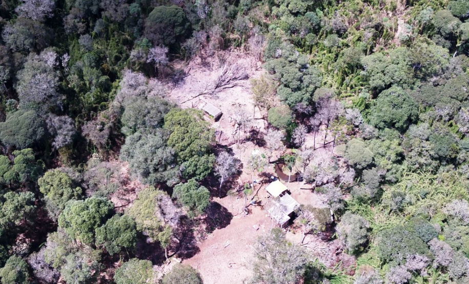 Megaoperação contra desmatamento resulta na prisão de dois homens em General Carneiro