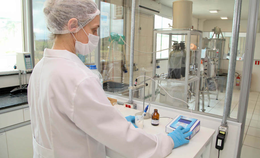 Paraná é o estado que mais emprega mulheres no Sul do País