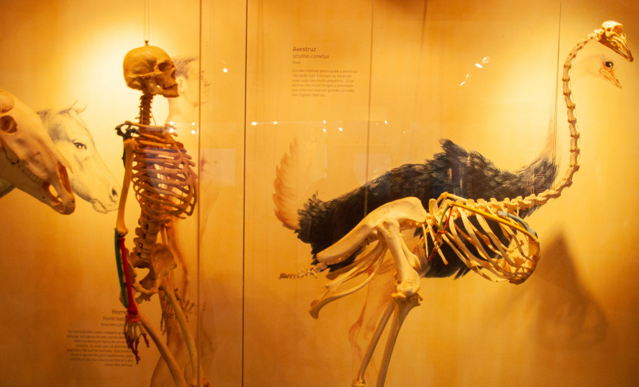 Parque da Ciência abre a agenda de visitas de 2023 na segunda-feira (6)