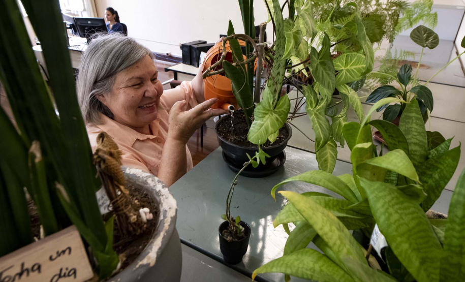 Mês da Mulher Cultura
