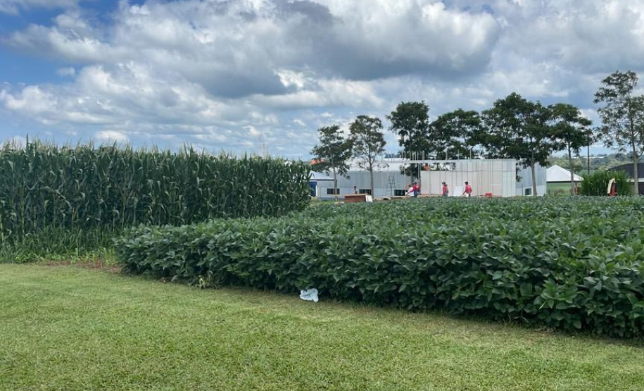 IDR-Paraná leva discussão sobre manejo da umidade do solo em lavouras anuais ao Show Rural