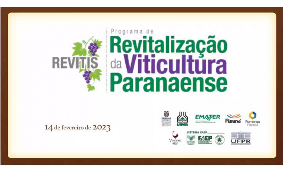 Programa de apoio à produção de uvas e derivados no Paraná reforça ações em 2023