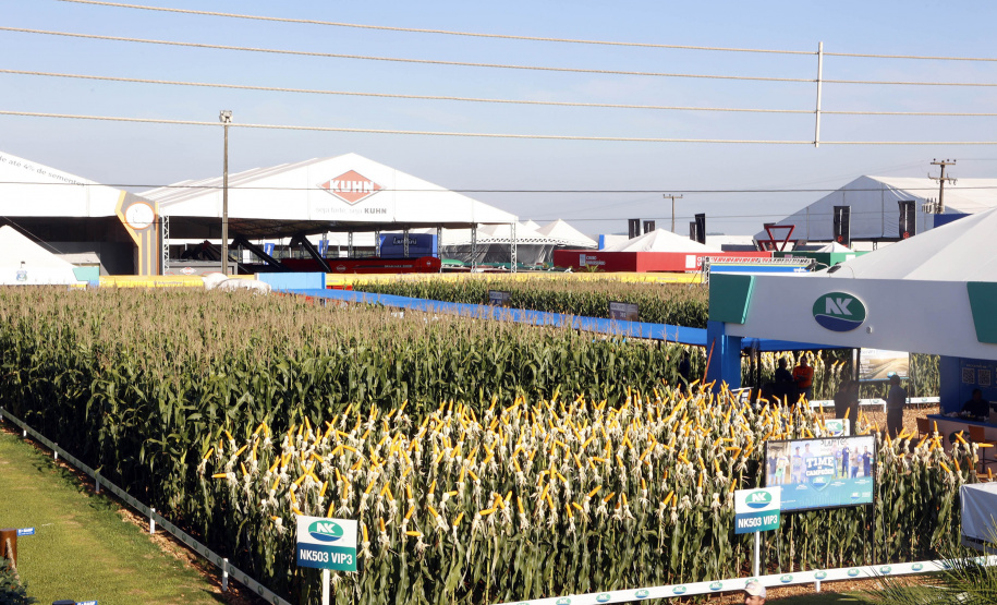 IDR-Paraná supera 200 mil atendimentos no Show Rural e fica ainda mais perto do produtor