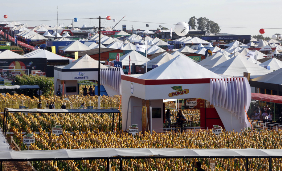 IDR-Paraná supera 200 mil atendimentos no Show Rural e fica ainda mais perto do produtor