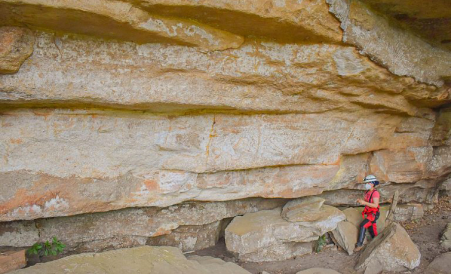 Grupo com professores da UEPG descobre registro rupestre inédito de araucárias