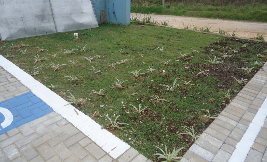 Conselho Tutelar Campo Magro