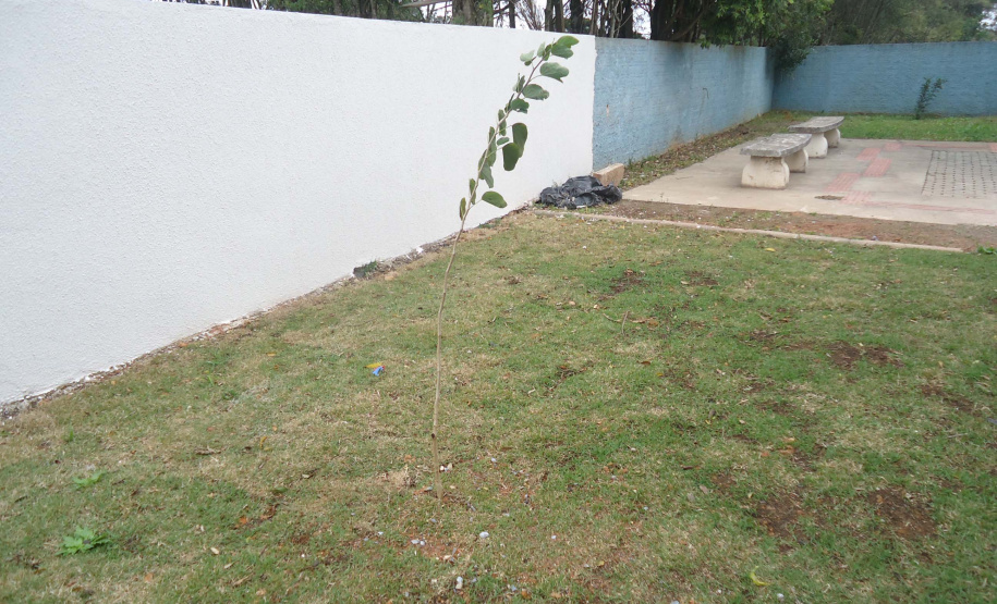 Conselho Tutelar Campo Magro