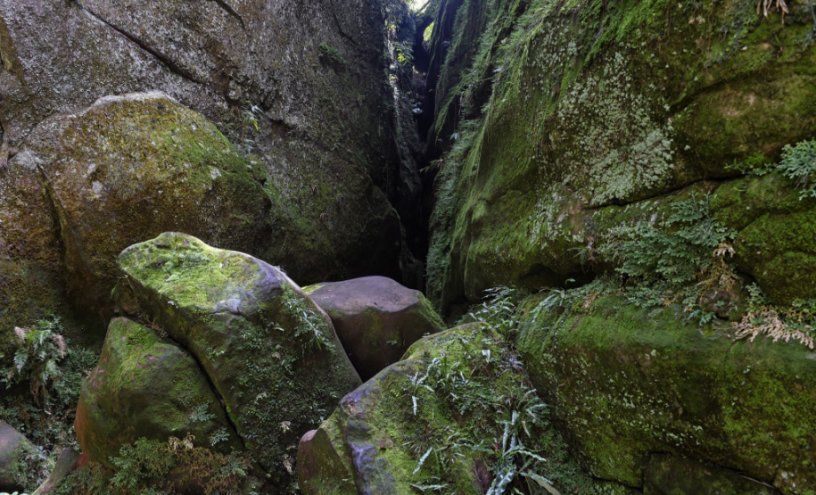 Parque Estadual do Guartelá