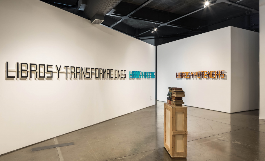 Marilá Dardot - Exposição MUPA