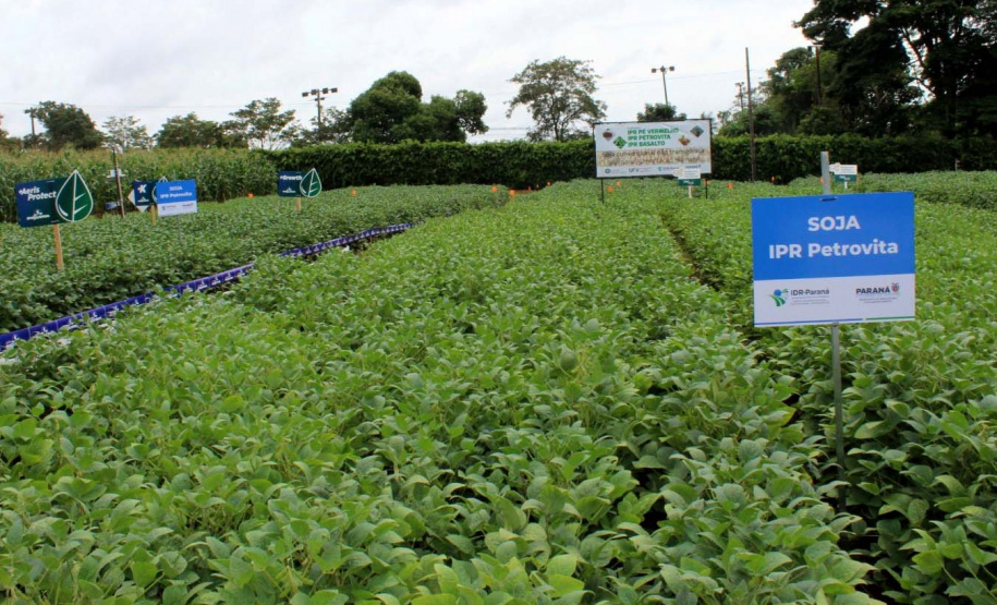 Com apoio do IDR, Smart Farm de Londrina reuniu inovações digitais do agronegócio