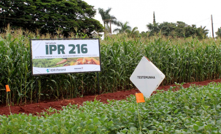 Com apoio do IDR, Smart Farm de Londrina reuniu inovações digitais do agronegócio