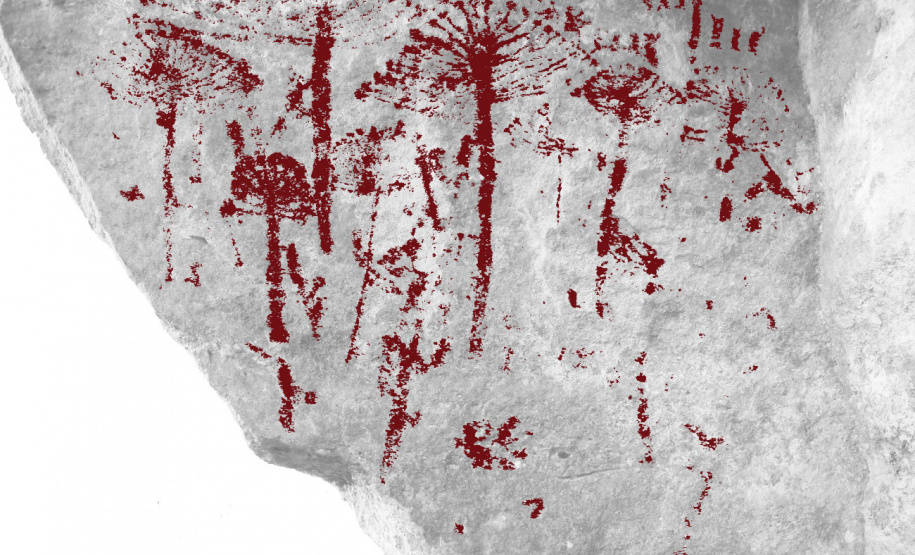 Grupo com professores da UEPG descobre registro rupestre inédito de araucárias