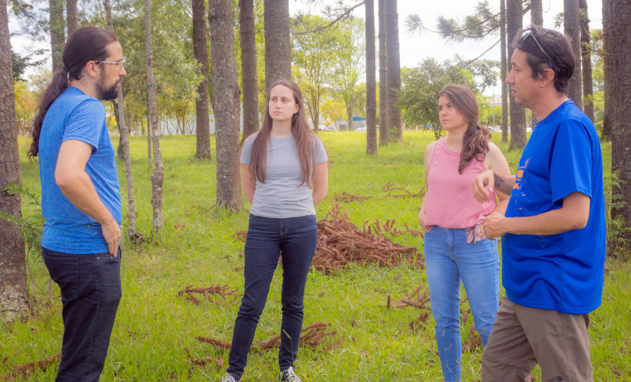 Grupo com professores da UEPG descobre registro rupestre inédito de araucárias