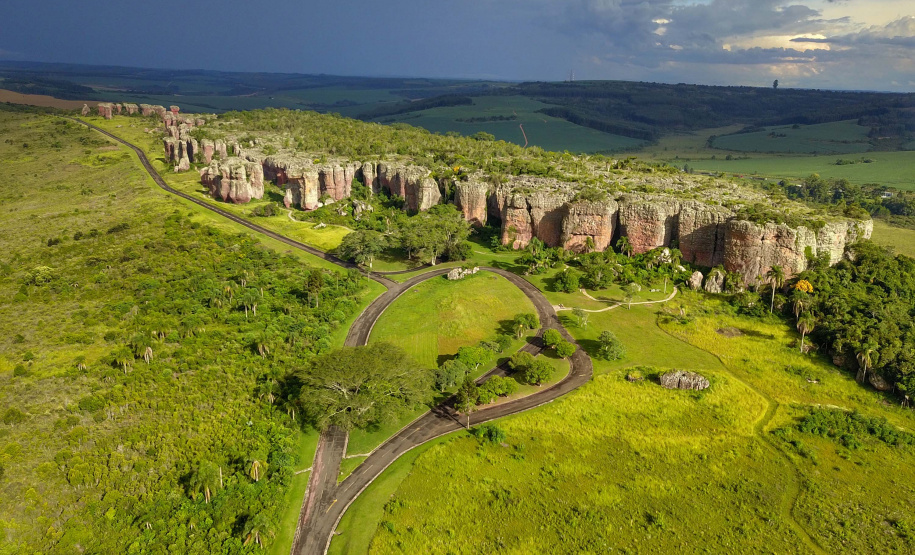 Pesquisadores botânicos percorrem diversas áreas protegidas no Paraná em busca de espécies ameaçadas da flora