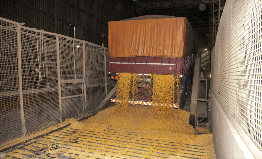 Janeiro foi de recorde nas exportações de grãos pelo Corredor Leste do Porto de Paranaguá