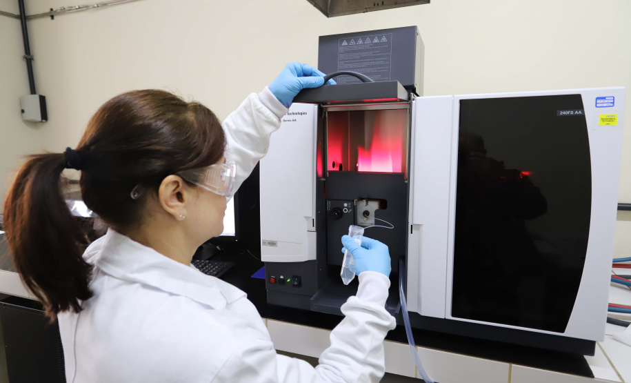 Dia Mundial da Mulher na Ciência: cientistas paranenses destacam desafios e conquistas