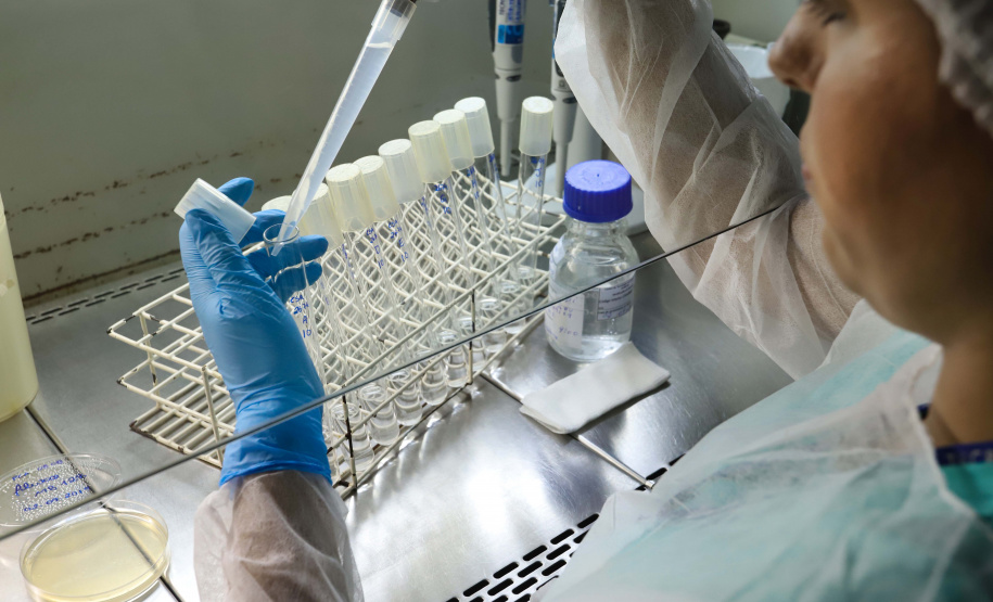 Dia Mundial da Mulher na Ciência: cientistas paranenses destacam desafios e conquistas