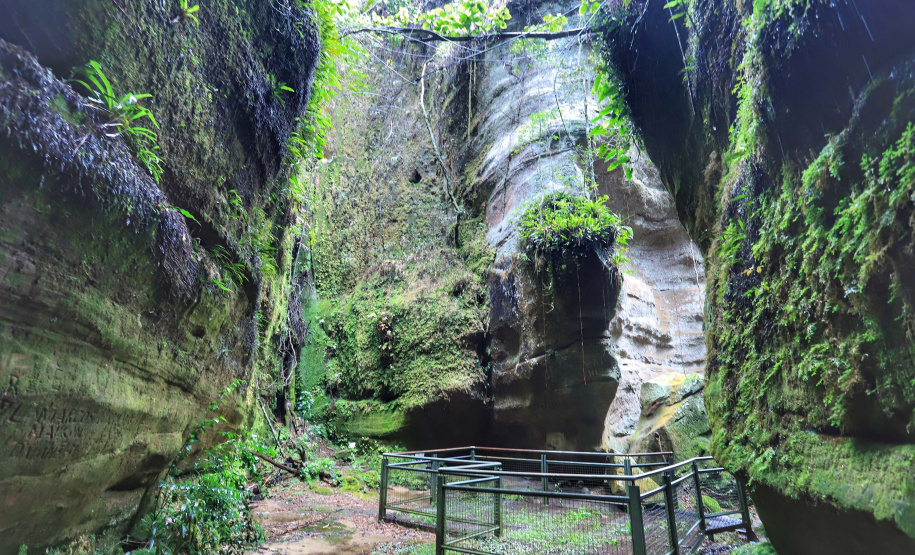 Pesquisadores botânicos percorrem diversas áreas protegidas no Paraná em busca de espécies ameaçadas da flora. Na foto, Parque Estadual de Vila Velha.