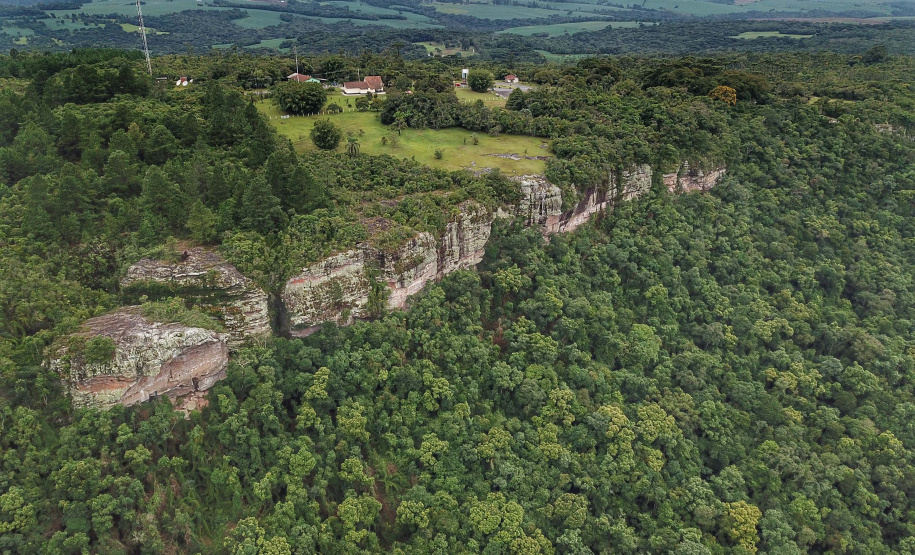 Pesquisadores botânicos percorrem diversas áreas protegidas no Paraná em busca de espécies ameaçadas da flora. Na foto, Parque Estadual de Vila Velha.