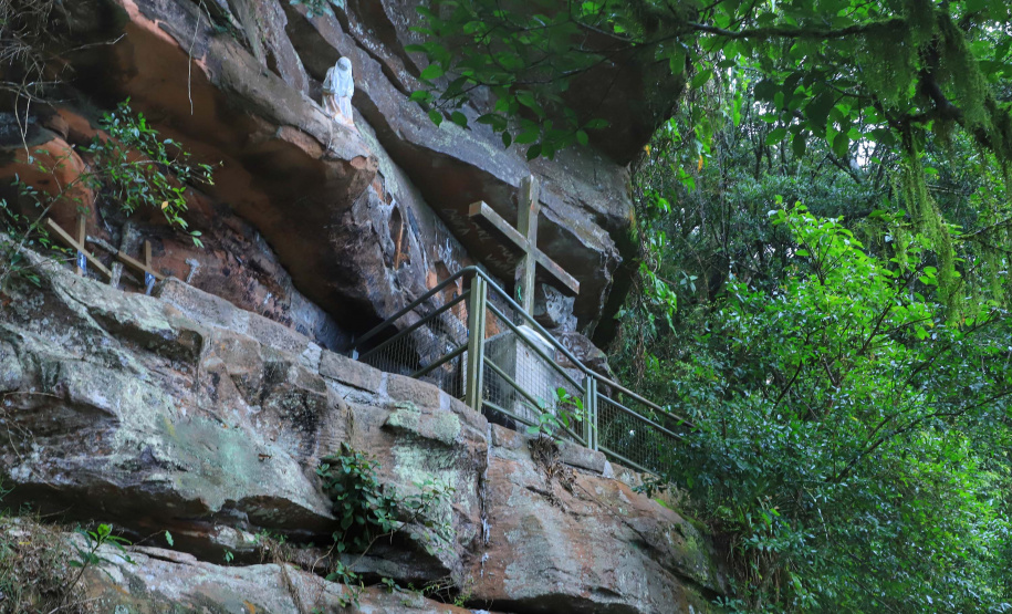 Pesquisadores botânicos percorrem diversas áreas protegidas no Paraná em busca de espécies ameaçadas da flora. Na foto, Parque Estadual de Vila Velha.