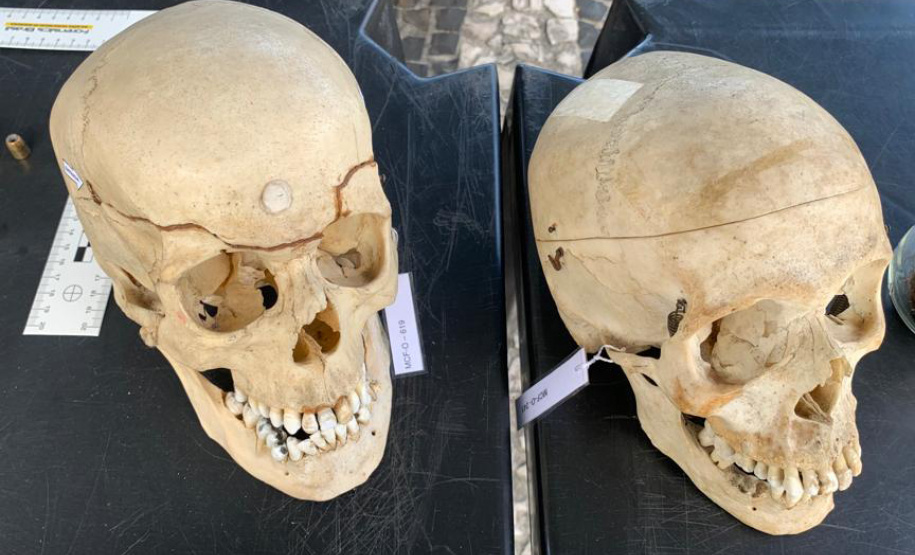 Museu de Ciências Forenses