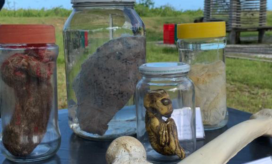 Museu de Ciências Forenses