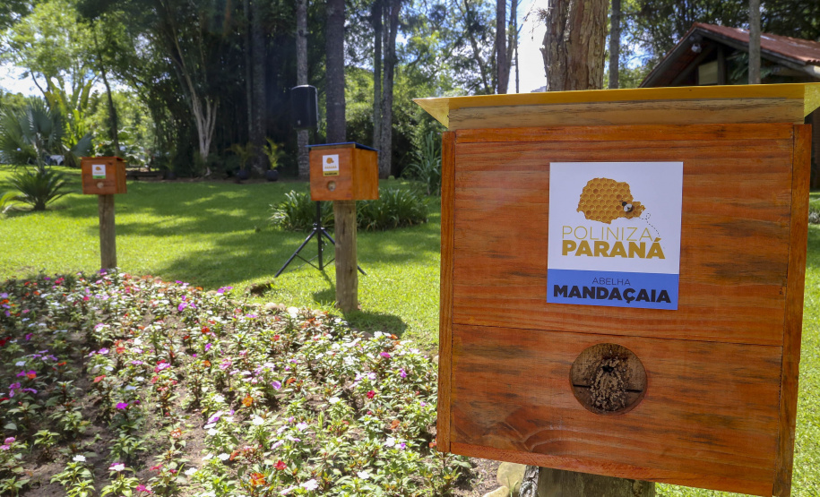 Poliniza Paraná dobra o alcance e chega às Unidades de Conservação do Paraná