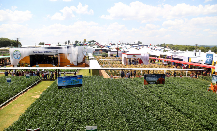 IDR-Paraná supera 200 mil atendimentos no Show Rural e fica ainda mais perto do produtor