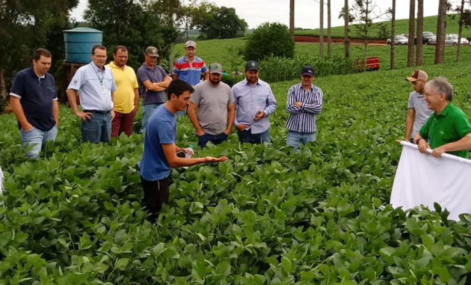 Maringá realiza concurso regional de qualidade na colheita de soja