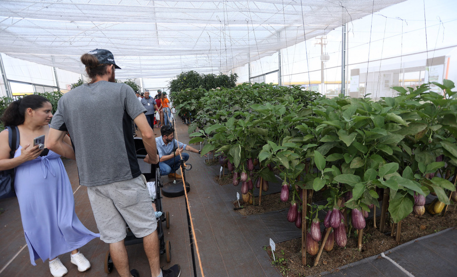 IDR-Paraná supera 200 mil atendimentos no Show Rural e fica ainda mais perto do produtor