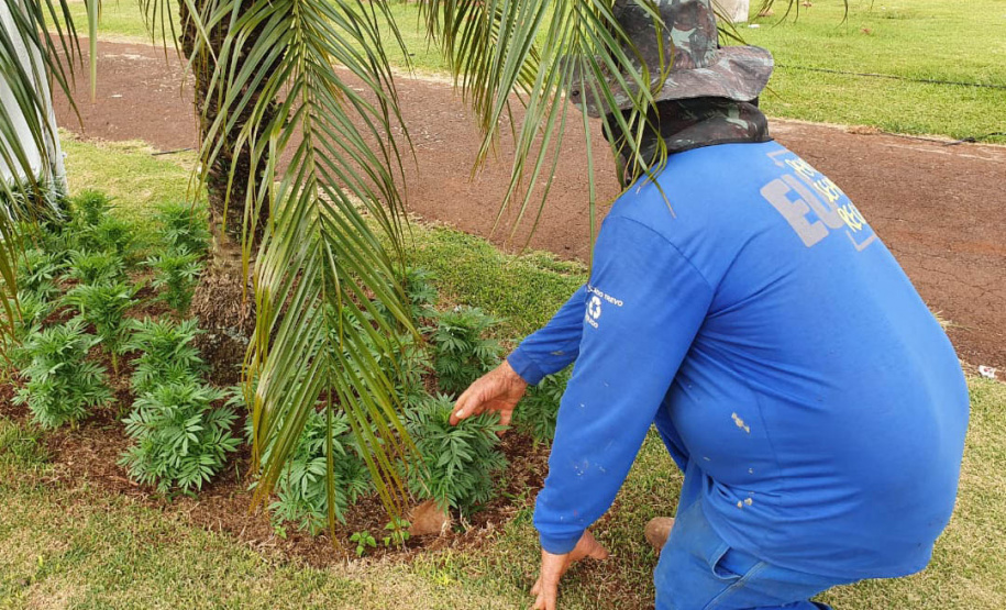 Pessoas privadas de liberdade atuam na preparação do 35° Show Rural de Cascavel