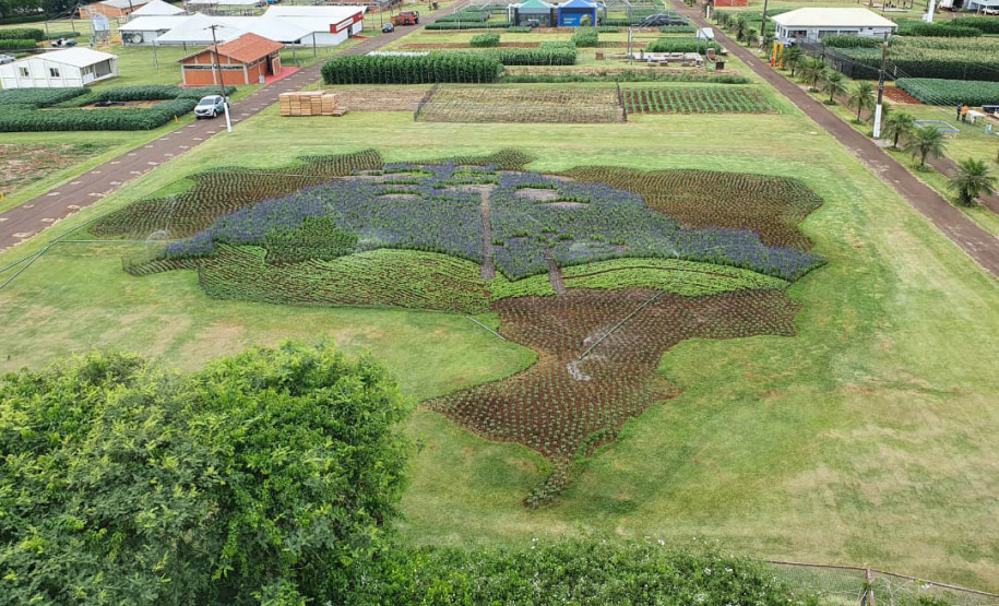 Pessoas privadas de liberdade atuam na preparação do 35° Show Rural de Cascavel