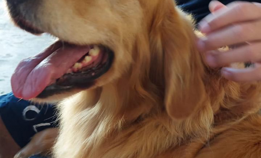 Referência nacional na área, socioeducação ajuda a transformar vidas no Paraná