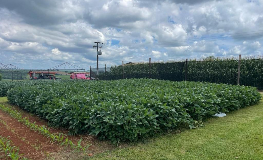 IDR-Paraná leva discussão sobre manejo da umidade do solo em lavouras anuais ao Show Rural