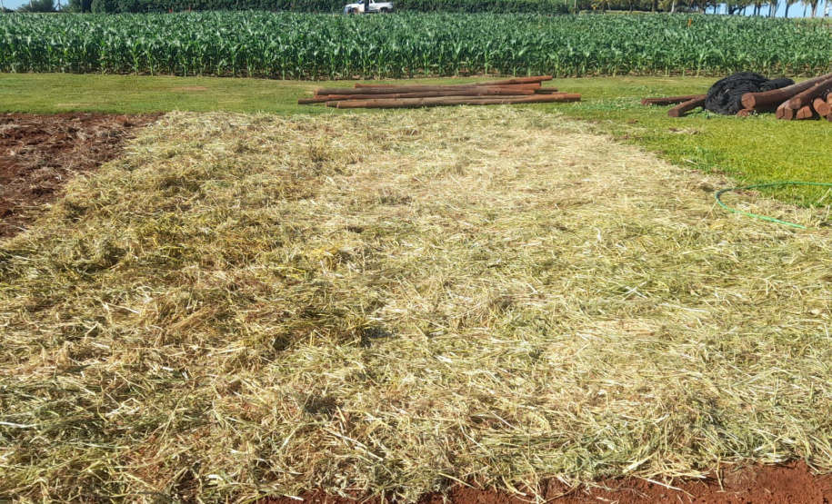 IDR-Paraná leva discussão sobre manejo da umidade do solo em lavouras anuais ao Show Rural