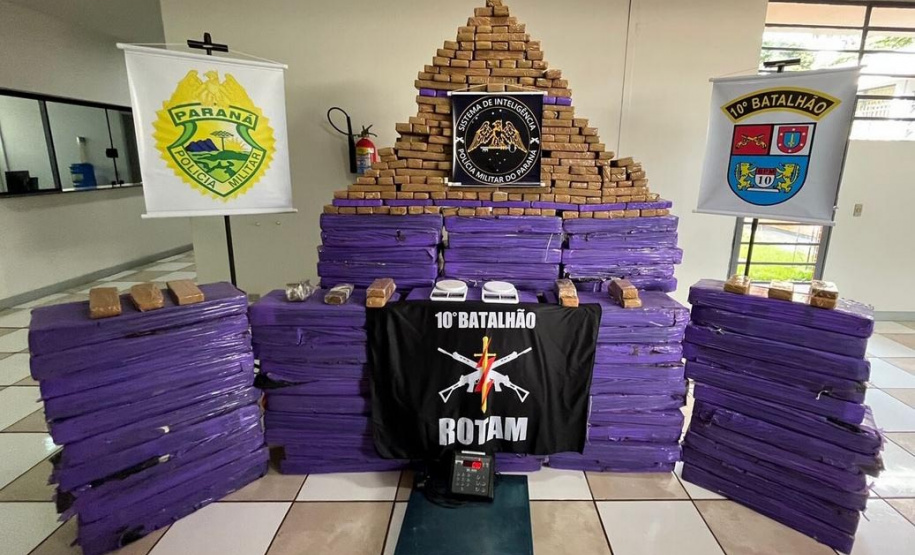 Com denúncias registradas no 181, forças de segurança apreendem mais de 3 toneladas de maconha em janeiro