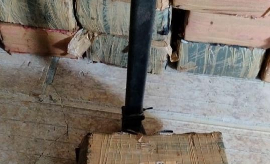 Com denúncias registradas no 181, forças de segurança apreendem mais de 3 toneladas de maconha em janeiro